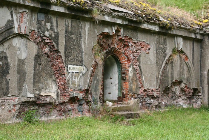 zimnica