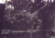 Nowy-88