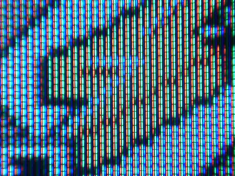 12020009