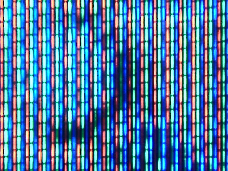 12020013