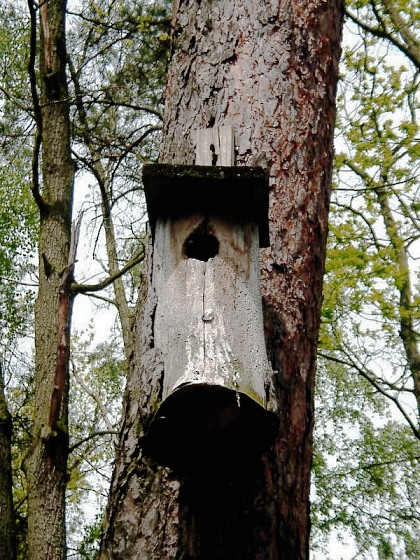 karmnik
