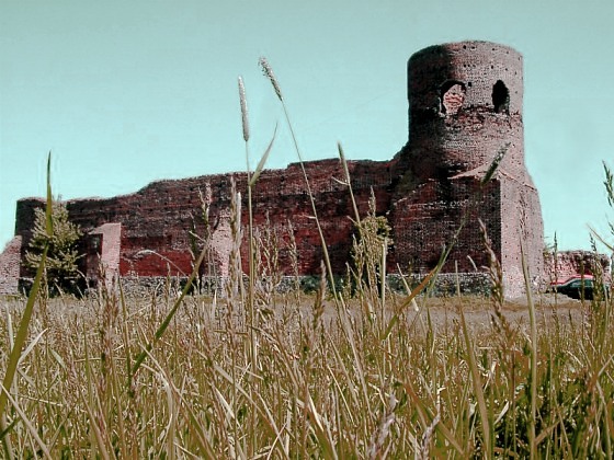 kolo
